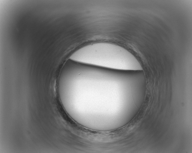 X0000073710024200608031052