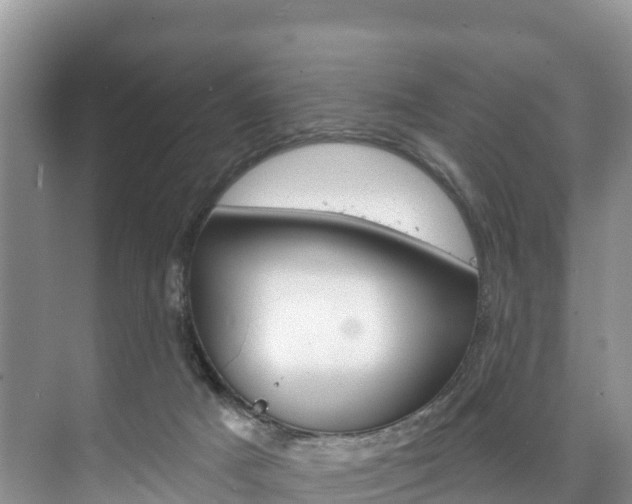 X0000073710025200608031052