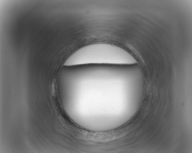 X0000073710026200608031052