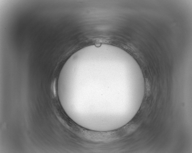 X0000073710028200608031052