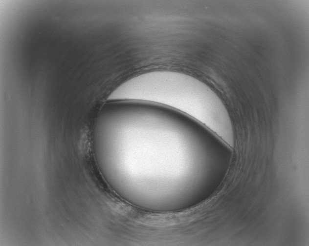 X0000073710029200608031052