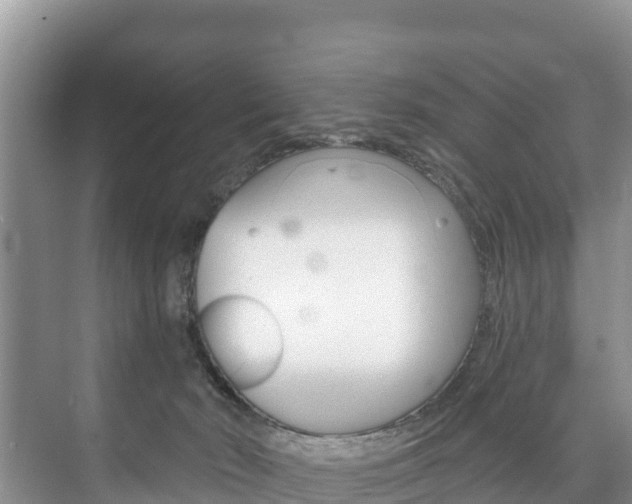 X0000073710030200608031052