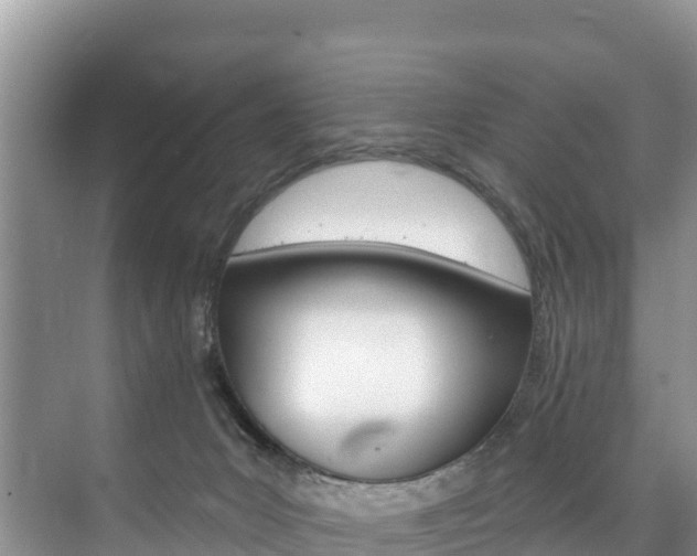 X0000073710031200608031052