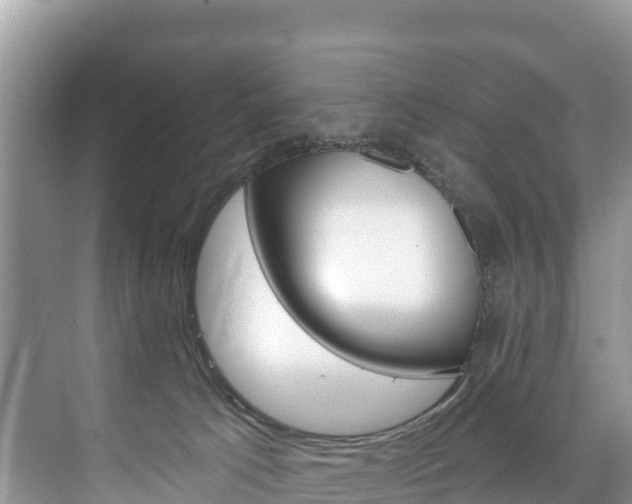 X0000073710033200608031052