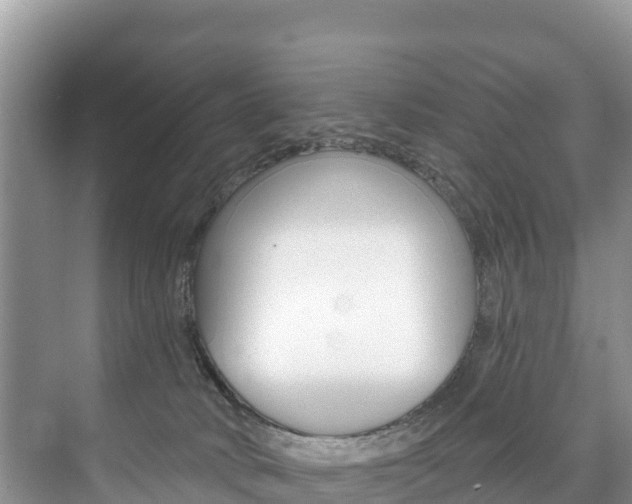 X0000073710034200608031052