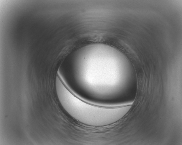 X0000073710035200608031052