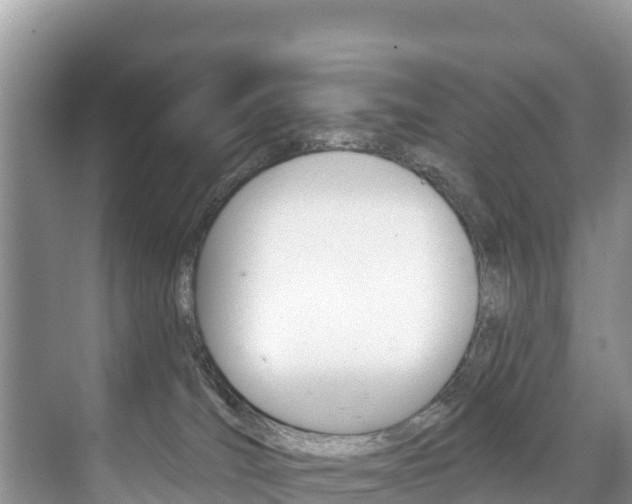 X0000073710036200608031052