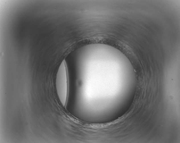 X0000073710037200608031052