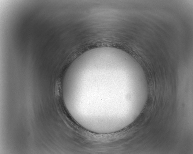 X0000073710038200608031052