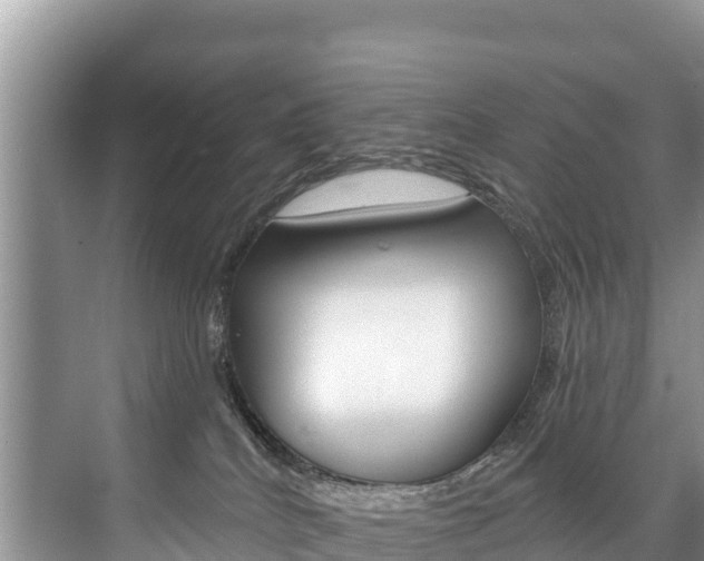 X0000073710040200608031052