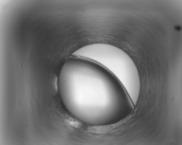 X0000073710041200608031052