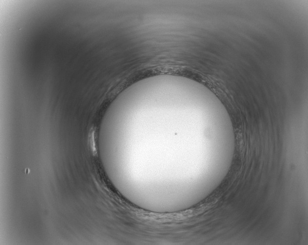 X0000073710042200608031052