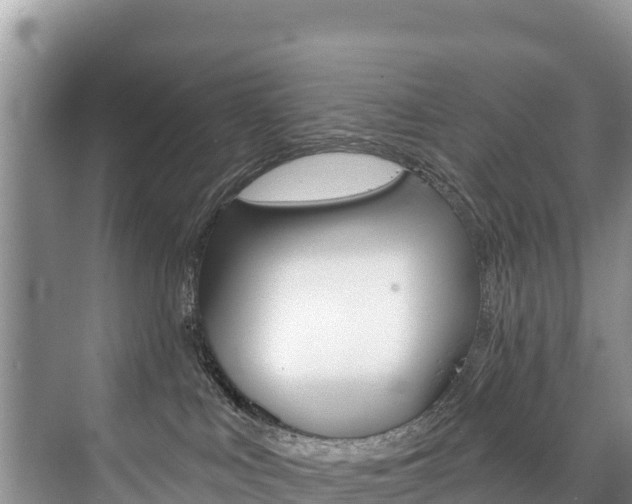 X0000073710043200608031052