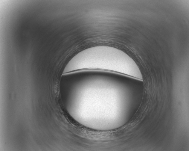 X0000073710044200608031052