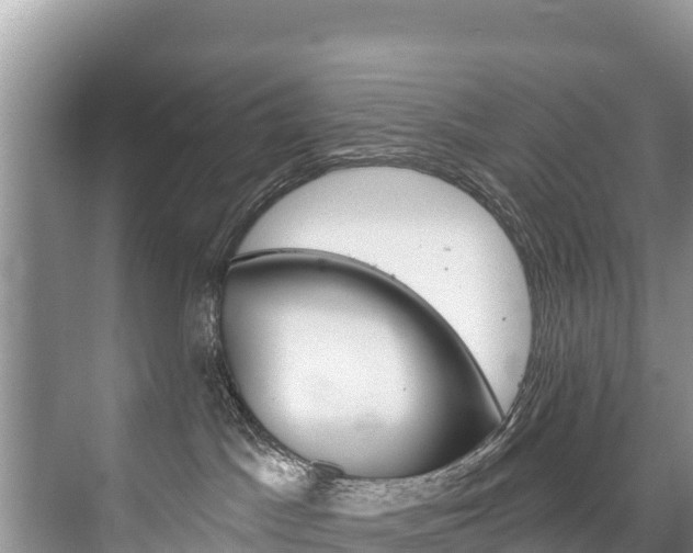 X0000073710045200608031052