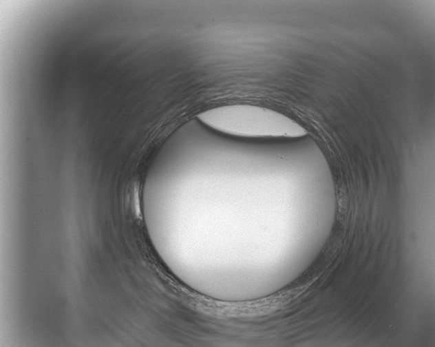 X0000073710046200608031052