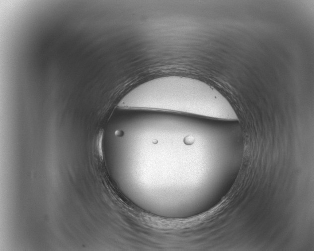 X0000073710047200608031052