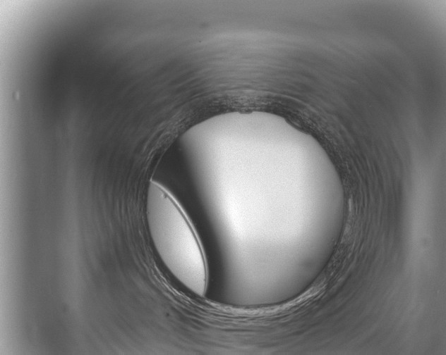 X0000073710048200608031052