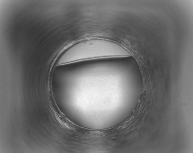 X0000073710050200608031051