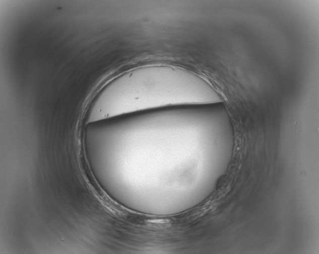 X0000073710053200608031051