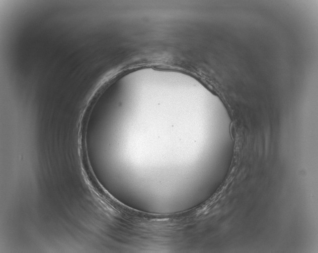 X0000073710054200608031051