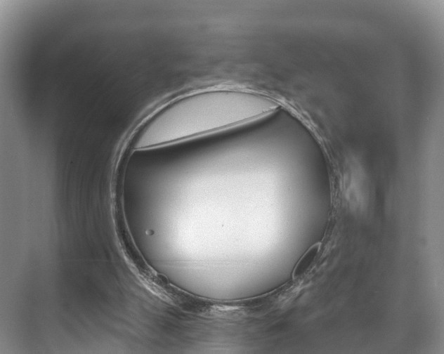 X0000073710055200608031051