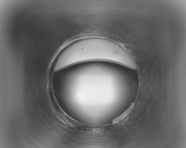 X0000073710056200608031051