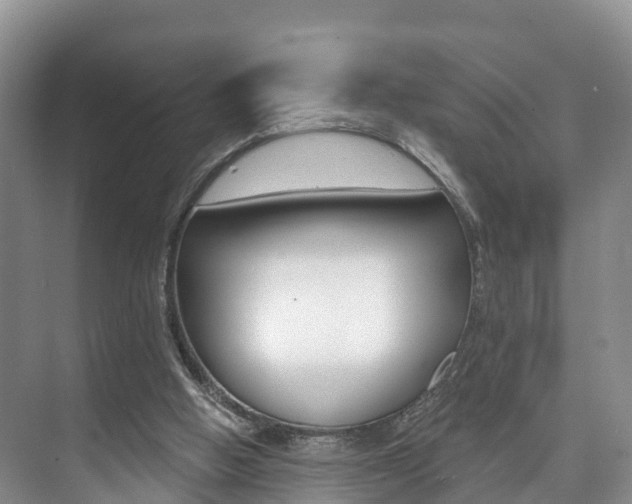 X0000073710058200608031051