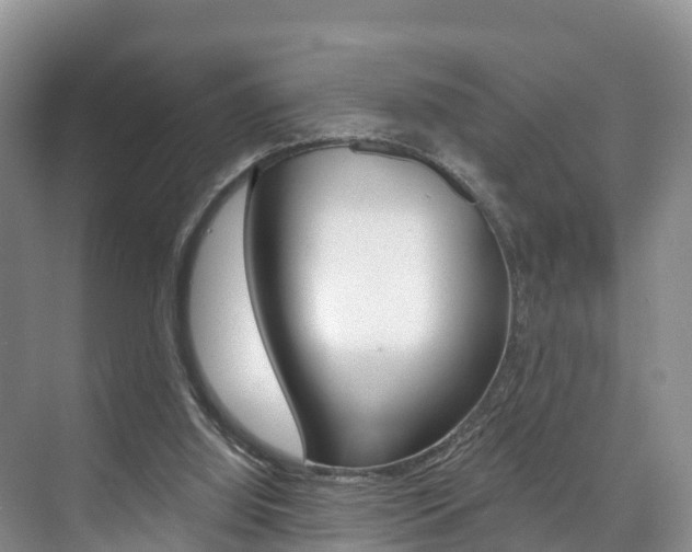 X0000073710060200608031051