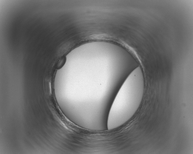 X0000073710061200608031051