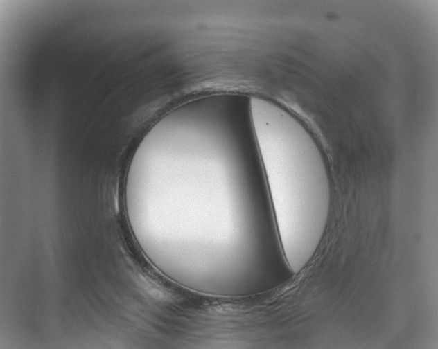 X0000073710062200608031051