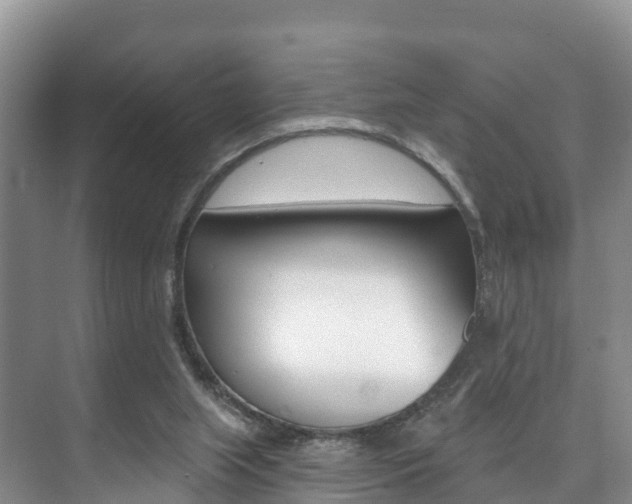 X0000073710063200608031051