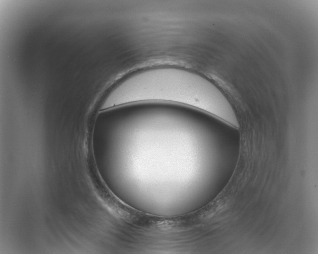 X0000073710064200608031051