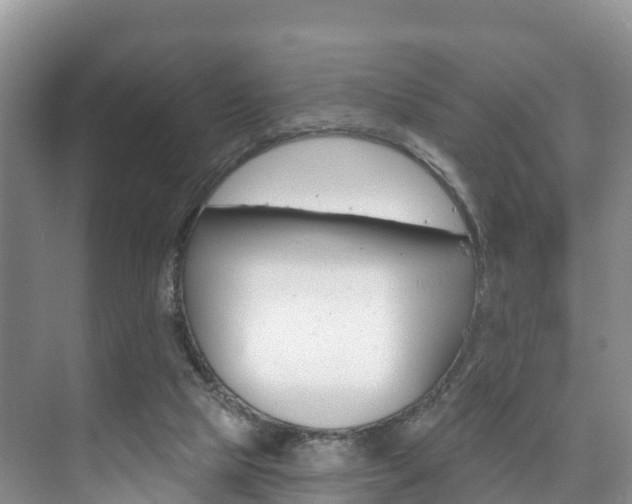 X0000073710065200608031051