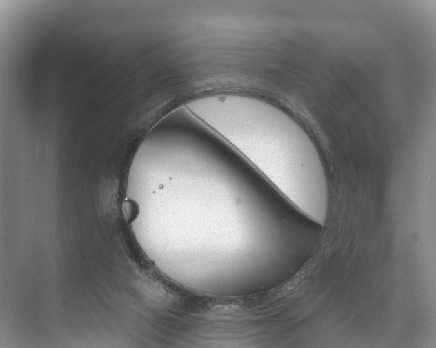 X0000073710066200608031051