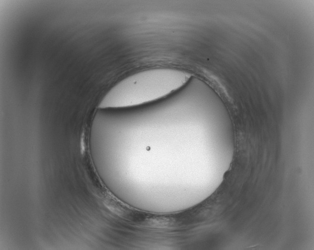 X0000073710069200608031051