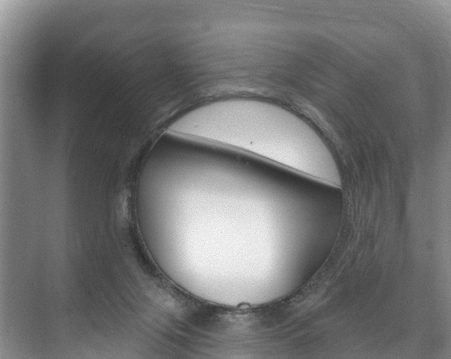 X0000073710071200608031051