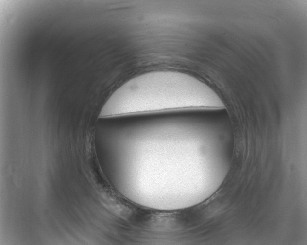 X0000073710078200608031051