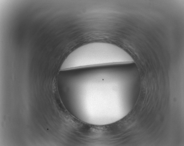 X0000073710079200608031051