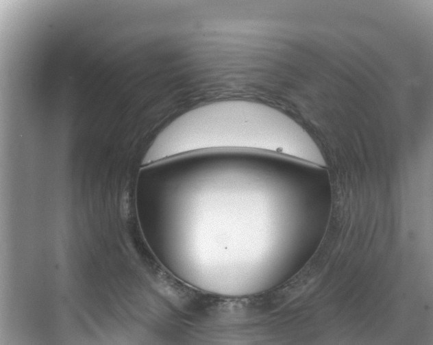 X0000073710080200608031051