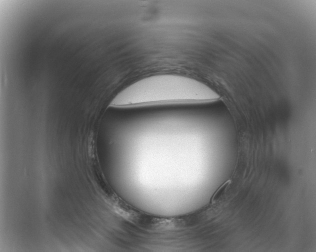 X0000073710083200608031051