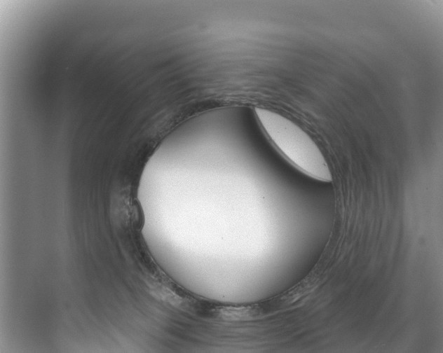 X0000073710085200608031051