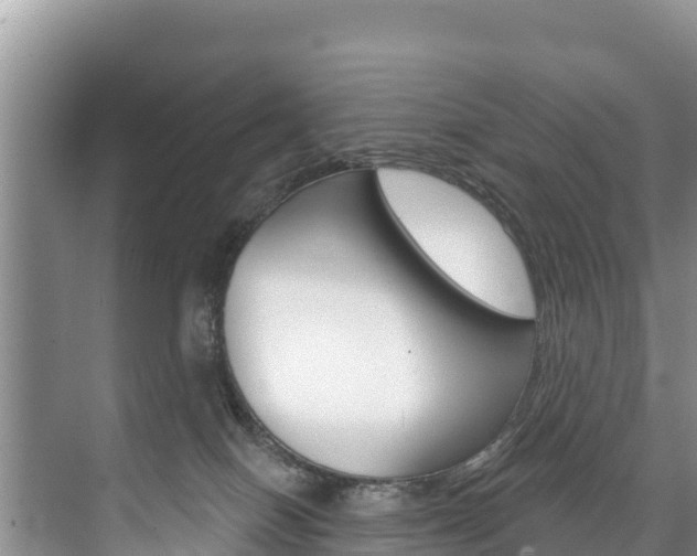 X0000073710086200608031051