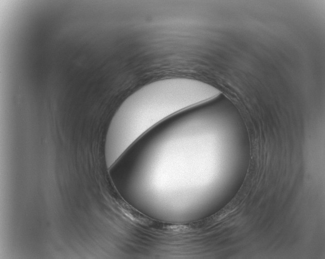 X0000073710087200608031051