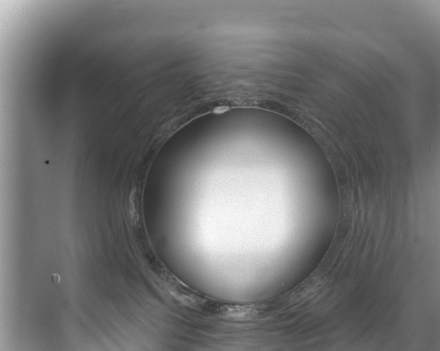 X0000073710088200608031051