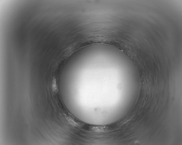 X0000073710089200608031051