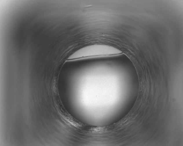 X0000073710092200608031051