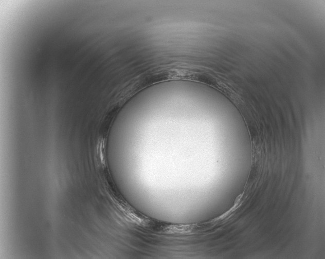 X0000073710094200608031051