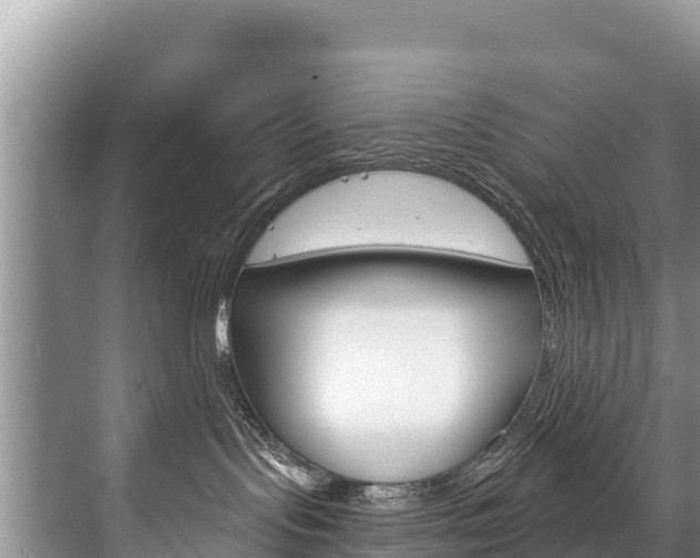 X0000073710095200608031052