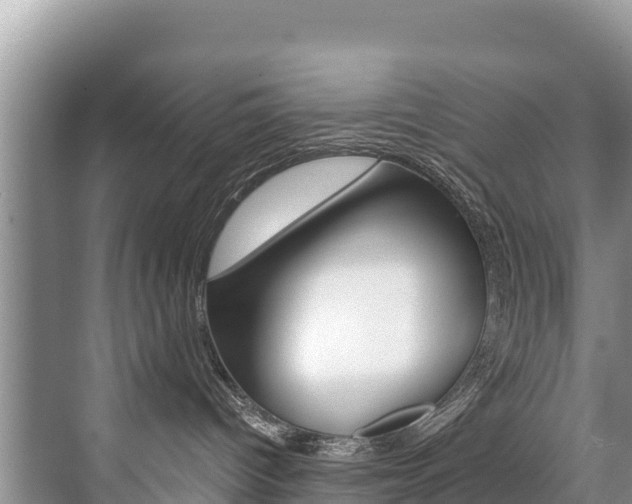 X0000073710096200608031052